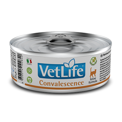 383_33_vet-life-feline-convalescence-85g@web
