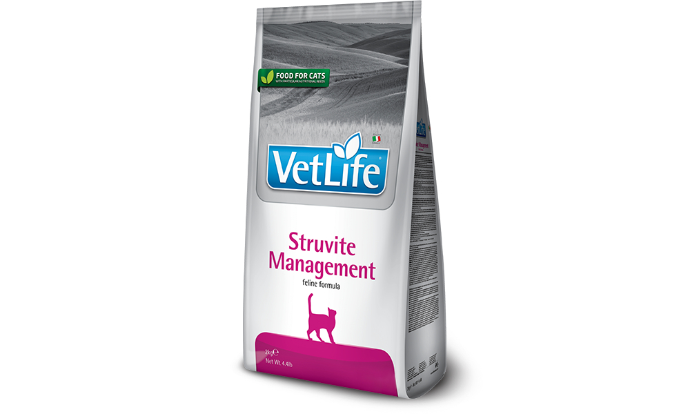 81_13_81_13_vet-life-feline-struvite-management@web