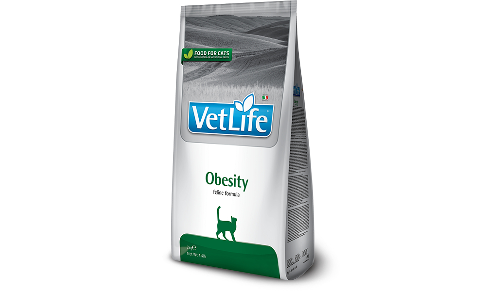 83_48_83_42_vet-life-feline-obesity@web