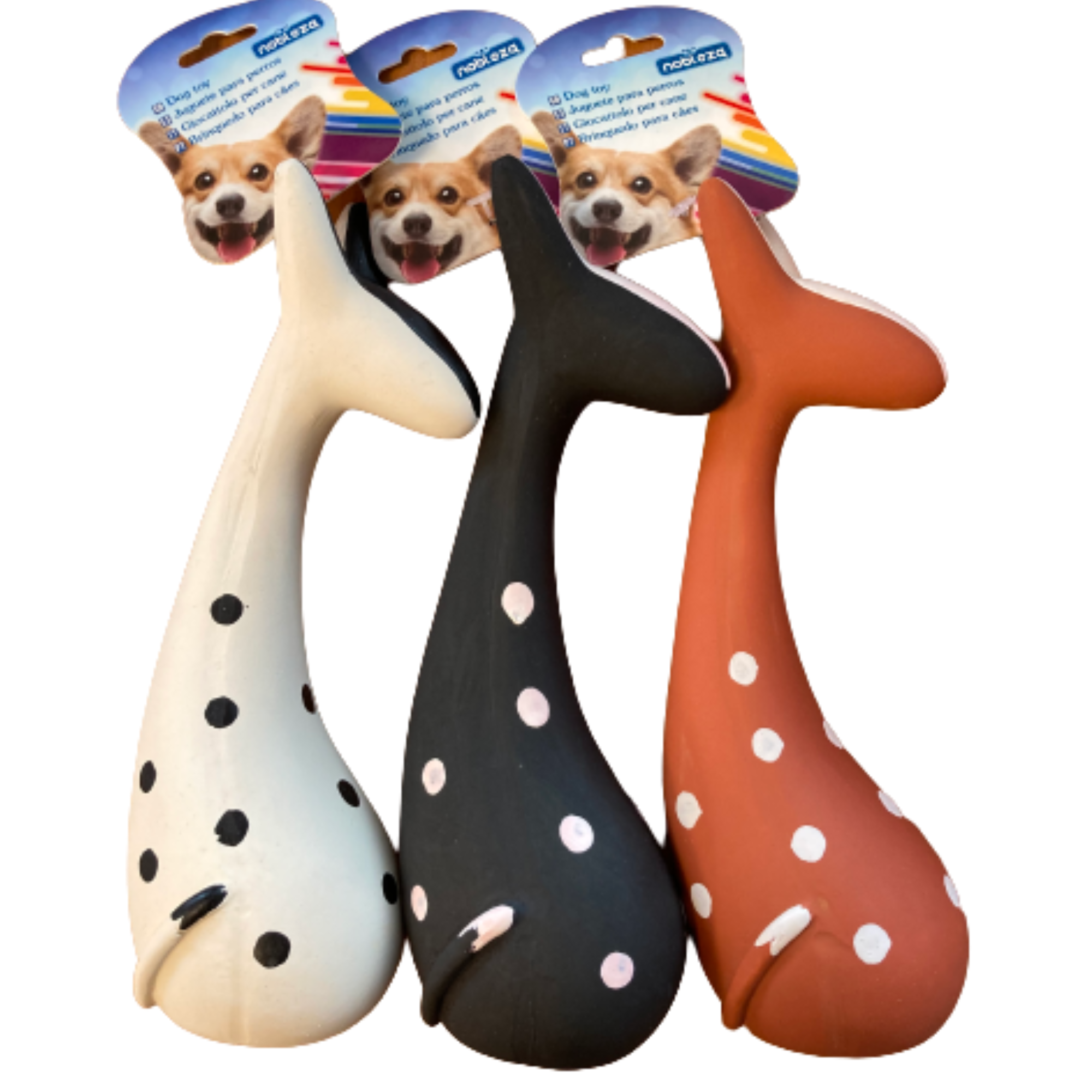 kaki-istie.png