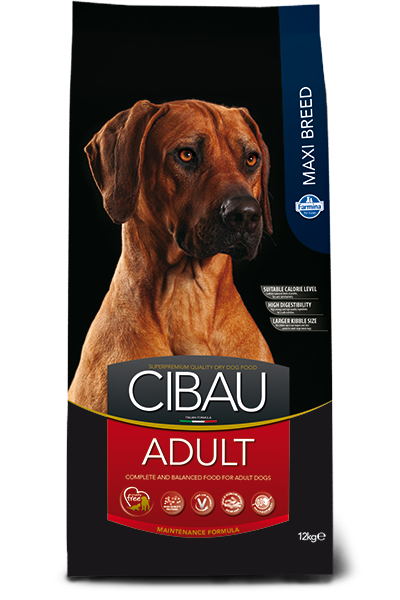 cibau-adult-maxi@web