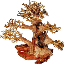 DEKORS AKVĀRIJAM ORIENTAL WIND WOOD | CR5632 |