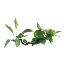 DEKORS AKVĀRIJAM DRIFTWOOD | CR5609 |