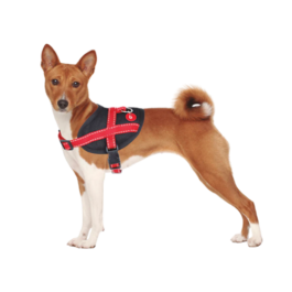 KRŪŠU SIKSNA AGILE HARNESS RED | XS | S |