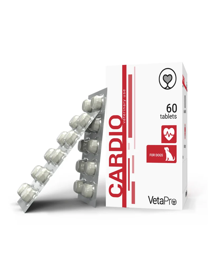 Cardio-mock-up-FINAL