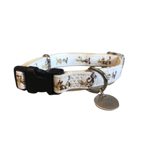 Looney-Tunes-Coyote