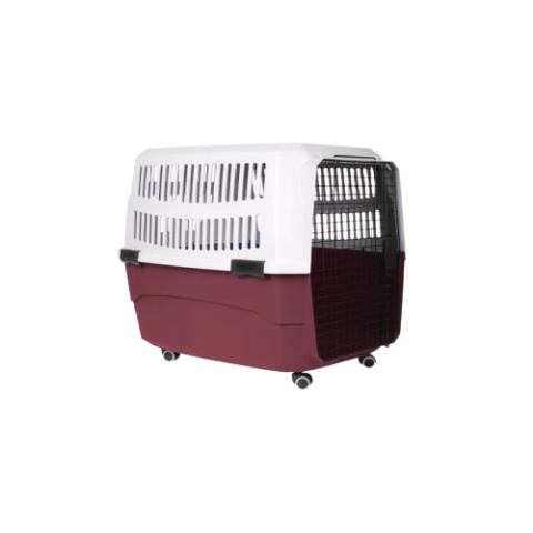 AG1003-480x480