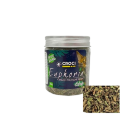 KAĶUMĒTRA EUPHORIA | 25G |