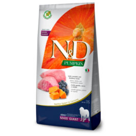 N&D DOG PUMPKIN LAMB BLUEBERRY ADULT GIANT 12KG – ND sausā barība pieaugušiem gigantisko šķirņu suņiem jērs, ķirbis, mellenes