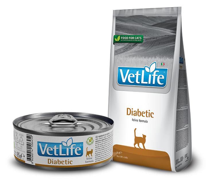 You are currently viewing BARĪBA KAĶIEM AR CUKURA DIABĒTU – VET LIFE CAT DIABETIC