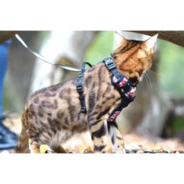 KRŪŠU SIKSNA KAĶIEM RANDO BORDO