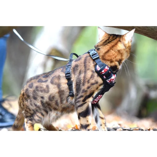 Noformejums-bez-nosaukuma-2026-02-19T114728.881