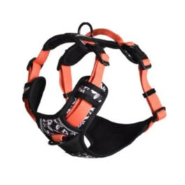 KRŪŠU SIKSNA KAĶIEM RANDO ORANGE