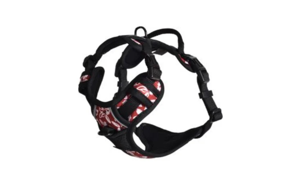 Noformejums-bez-nosaukuma-2026-02-19T132539.813