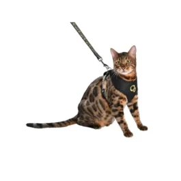 KRŪŠU SIKSNA UN PAVADA KAĶIEM CHAMANE BLACK